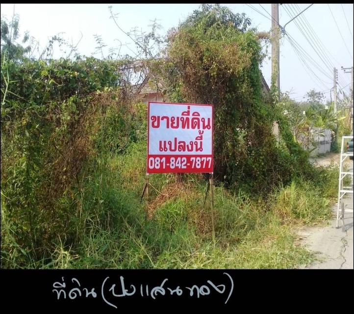 ขายที่ดินลำปาง ทางไปเชียงใหม่ 