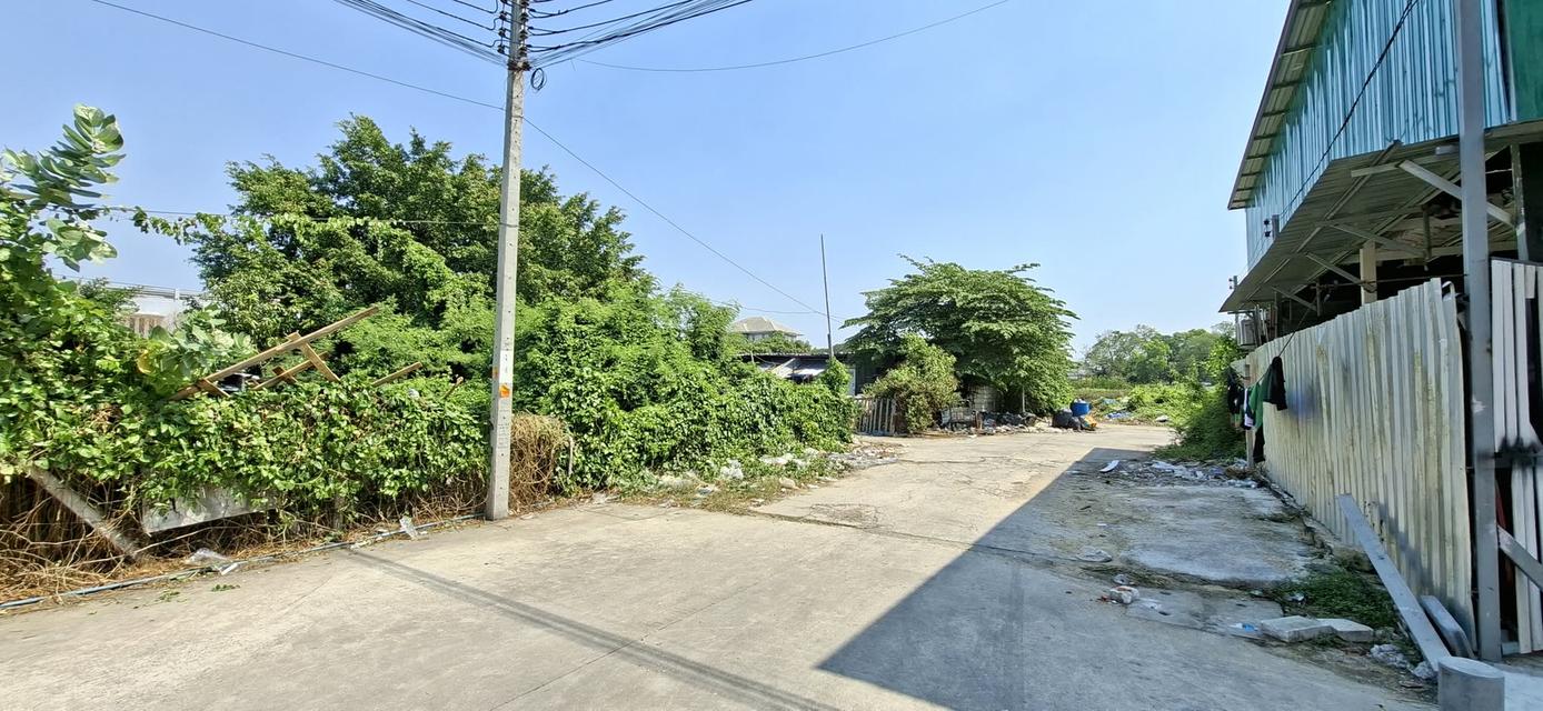 ขายที่ดินกรุงเทพกรีฑาซอยนักกีฬาแหลมทอง1 ขนาด 1-0-3.4 ไร่ แปลงสวยเหมาะทำธุรกิจ 6