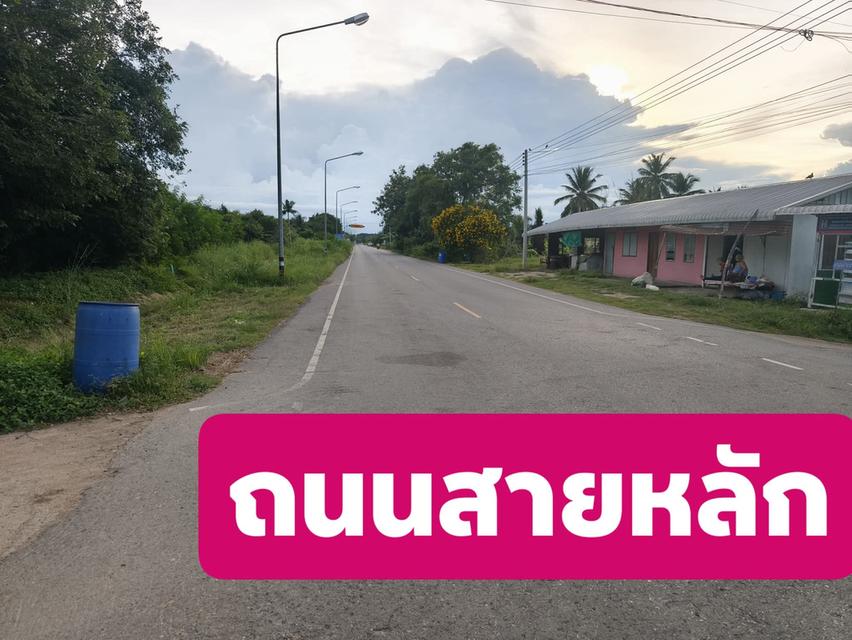 ขายที่ดินพร้อมตัวบ้านเก่า 1