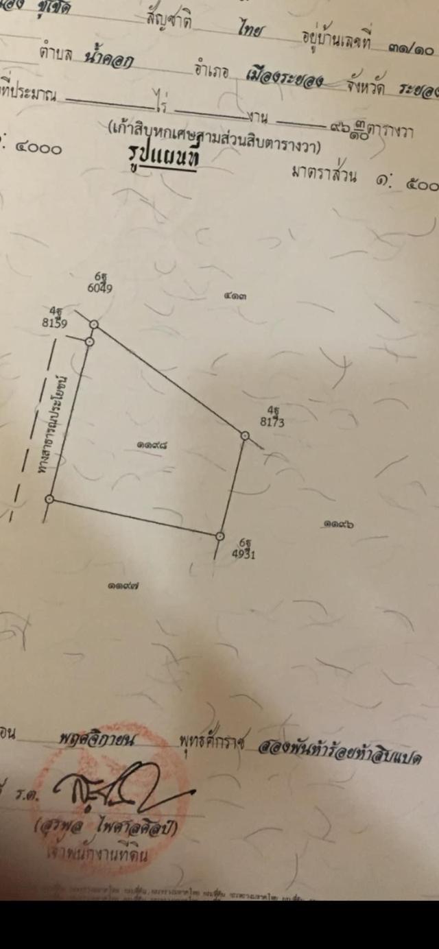 ที่ดินระยอง สวยร่มรื่น น้ำไม่ท่วม ทำร้านอาหารเท่ห์ๆ โรงคั่วกาแฟเก๋ๆเ ที่ตั้งอยู่หลัง bigc ระยอง ใกล้ ถนน บายพาส36 เนื้อที่ 196 ตรว เจ้าของขายเอง รูปย่อยที่ 3