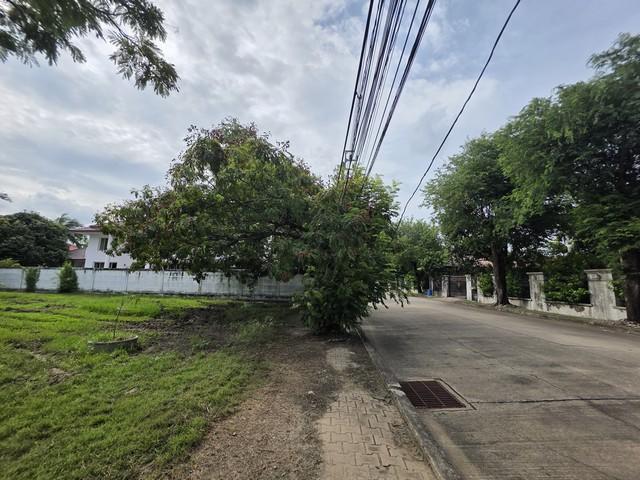 ขายที่ดิน หมู่บ้านวินด์มิลล์ พาร์ค บางนาตราด กม.10 (Windmill Park) ขนาด 409 ตารางวา ใกล้สนามกอล์ฟซัมมิท ตรงข้าม Megaบางน 6