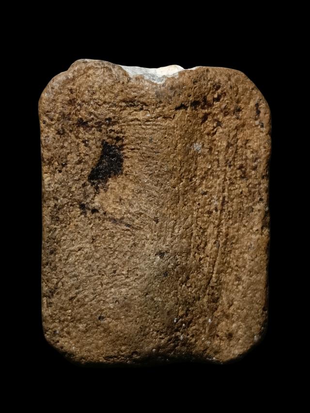 หลวงพ่อปานไก่หาง 5 เส้น รูปที่ 2