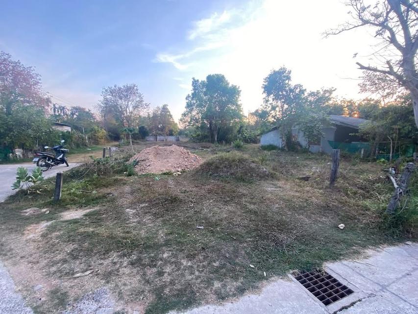 ที่ดิน จ.ศรีสะเกษตัวเมือง 1