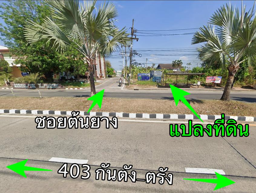 กันตัง ตรัง ขายที่ดินติดถนนในเมือง 2