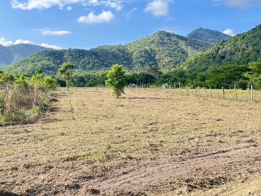 ที่ดิน พุหวาย ชะอำ จ เพชรบุรี ขนาด 6.375 ไร่  9
