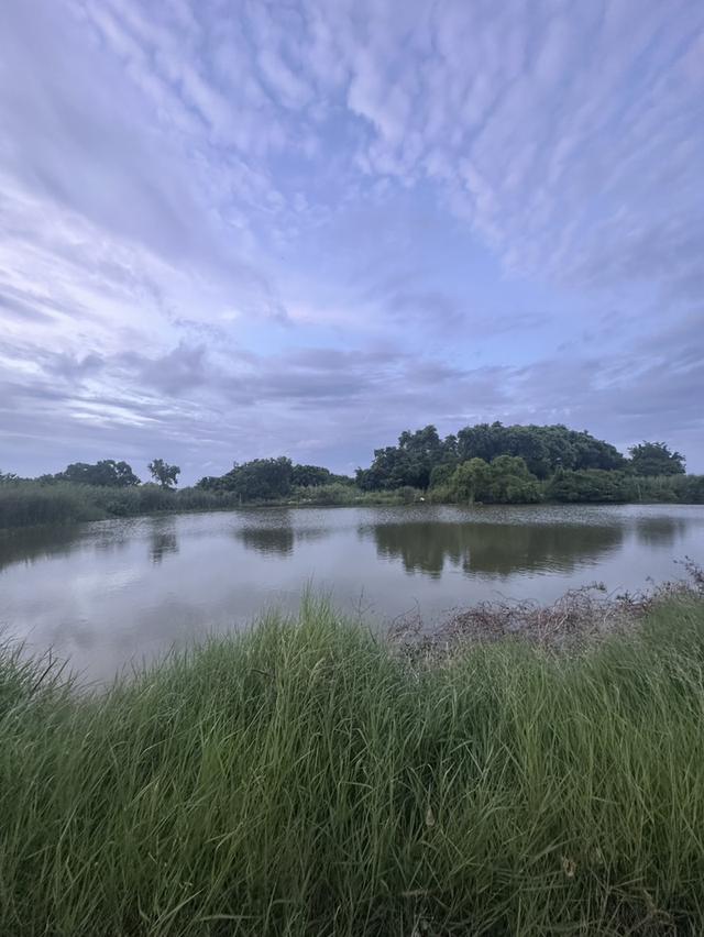 ที่ดินแปลงใหญ่ ทำเลศักยภาพ ใกล้นิคมอุตสาหกรรมบางพลี ถนนเทพารักษ์ ทางพิเศษบูรณาวิถี 2