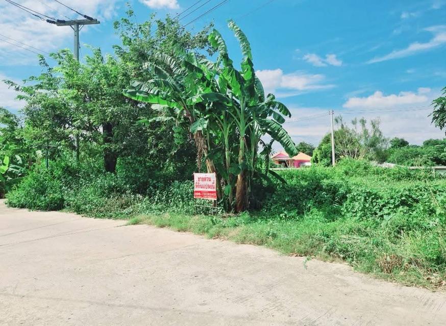ขายที่ดินเปล่าชุมชนท่าม่วง จ.กาญจนบุรี 15