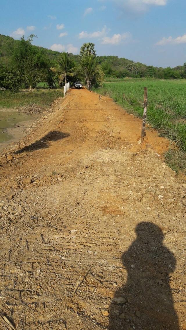 ขาย..ที่ดินติดภูเขาและลำธาร 5