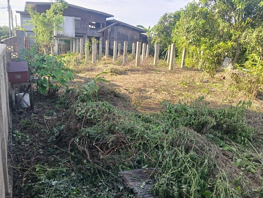 ที่ดินพร้อมสิ่งก่อสร้าง 2