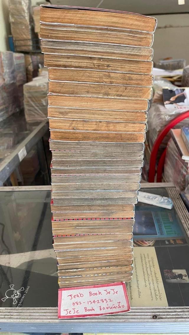 หนังสือการ์ตูน น้องหนูพันธุ์ดุ 1-30 จบ 9