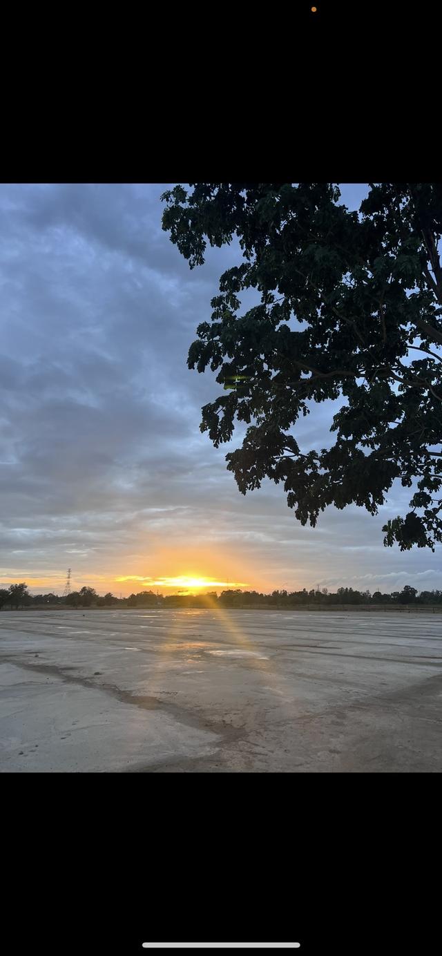 ที่ดินศักยภาพสูง ติดทางหลวงสายหลัก (สาย 11 / AH13) ทำเลเด่น พรหมพิราม พิษณุโลก 3