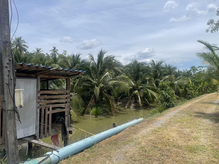 Land for sale in Nakhon Chai Si 10 rai near Central Salaya 6