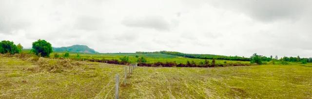 ขายที่ดินพรีเมี่ยมติด Singha Park Chiang Rai ขนาด 8 ไร่ + 6 ไร่ ( รวม 14 ไร่ ) น้ำไม่ท่วม จังหวัดเชียงราย 6