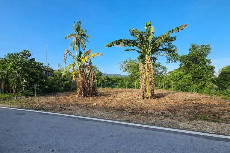 ขายที่ดินสวนตูล 4 ห้อง ห้องละ 700,000 บาท หน้า กศน. สงขลา 2