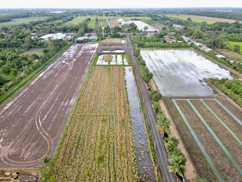 ที่ดินผ่อนสบาย ทำบ้านสวนหรือเกษตรก็เหมาะ ทำเลคลอง 11 อำเภอหนองเสือ จังหวัดปทุมธานี 4