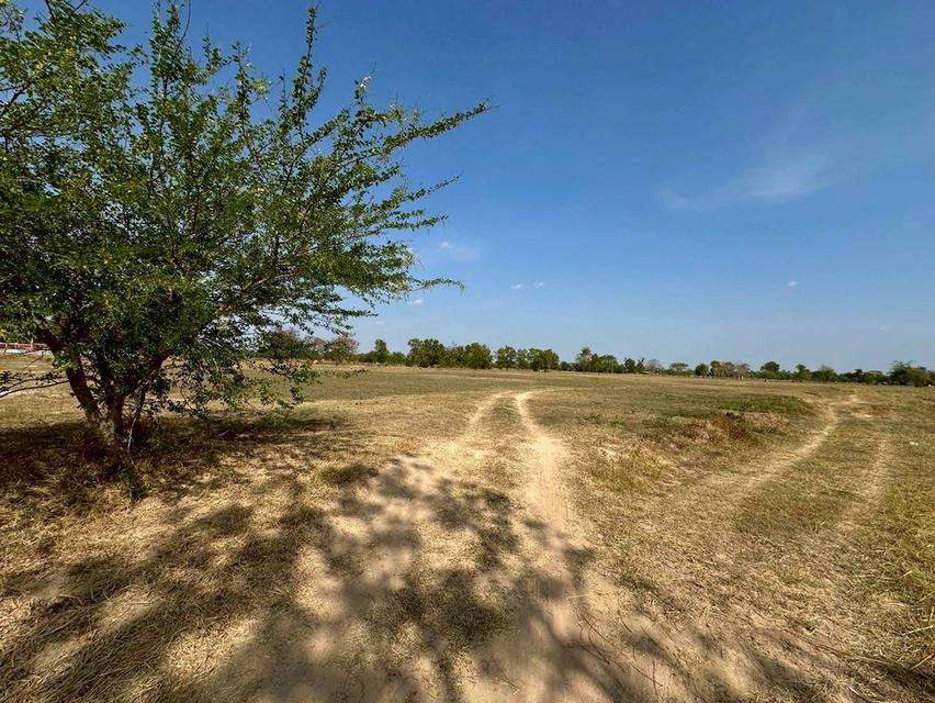 ขายที่ดิน ถมแล้ว พื้นที่ 23-3-19 ไร่ ถนนเจนจบทิศ ( เมืองพล-หนองสองห้อง) ตำบลหนองเม็ก อำเภอหนองสองห้อง จังหวัดขอนแก่น 4