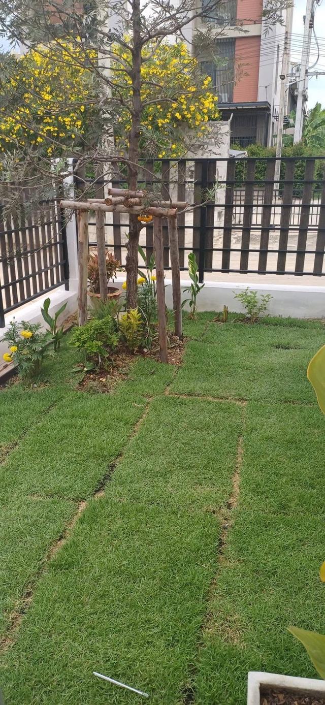 ให้เช่าบ้าน ซอย ใร่ขิง 36 7