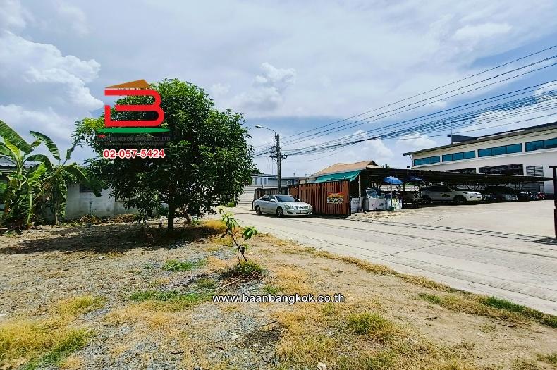 ขาย/เช่า ที่ดินเปล่า เลี่ยงเมืองปากเกร็ด 41 เนื้อที่ 149 ตร.ว (ใกล้โรงเรียนชลประทานวิทยา) ตำบลบางตลาด อำเภอปากเกร็ด จังหวัดนนทบุรี 4