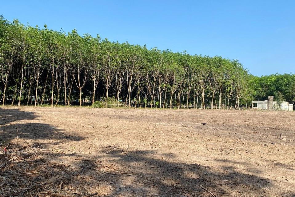 ที่ดิน แบ่งขายที่ดิน 2