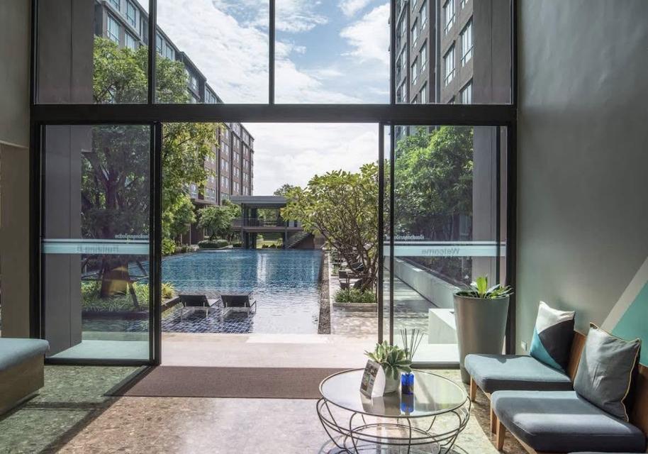 Dcondo campus Phuket 7