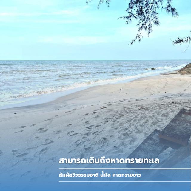 ขายรีสอร์ทติดทะเล นครศรีธรรมราช 8