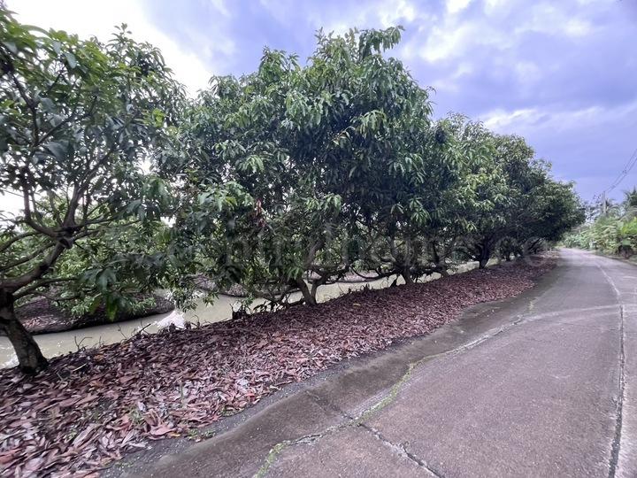 ที่ดิน พร้อมสิ่งปลูกสร้าง 9-3-60 ไร่ สามพราน นครปฐม 11