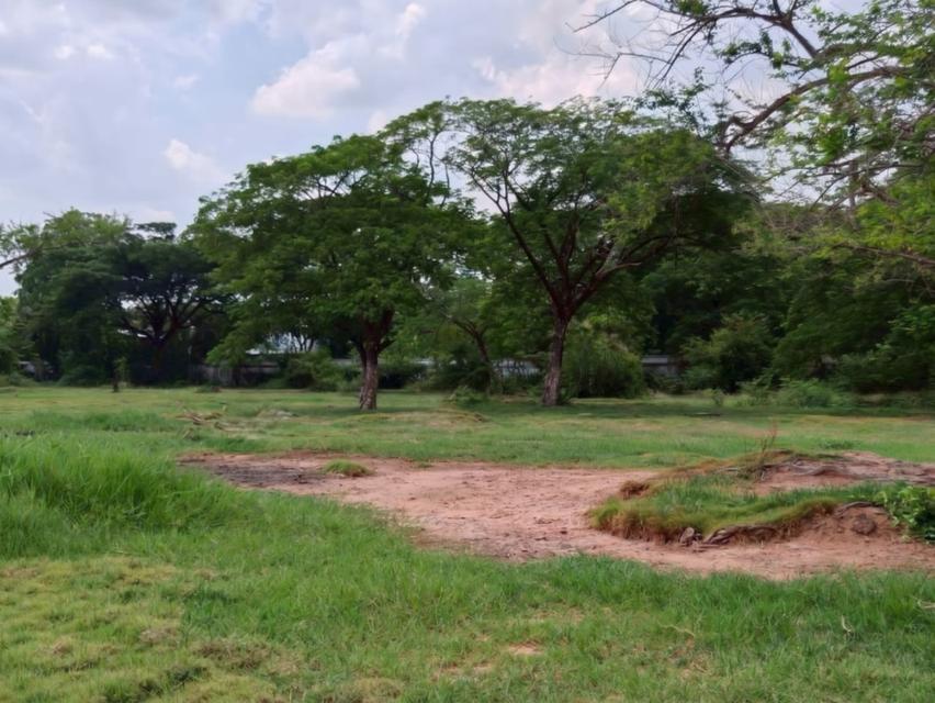 ที่ดิน ขายที่ดินติดถนน เนื้อที่ 6 ไร่ 1 งาน 62.7 ตร.ว. ใกล้ท่าอากาศยานนานาชาติขอนแก่น 9