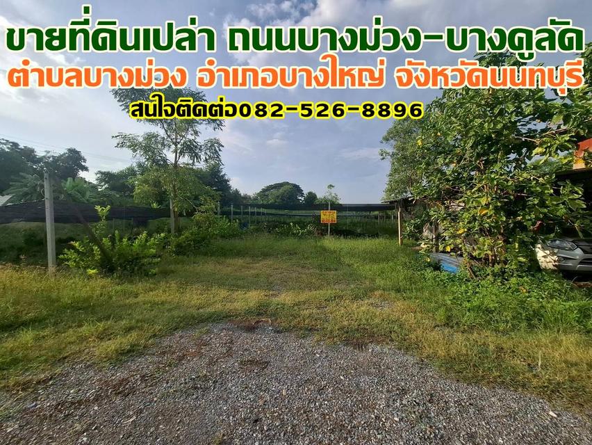 ขายที่ดินเปล่า ถนนบางม่วง-บางคูลัด บางใหญ่ นนทบุรี 1