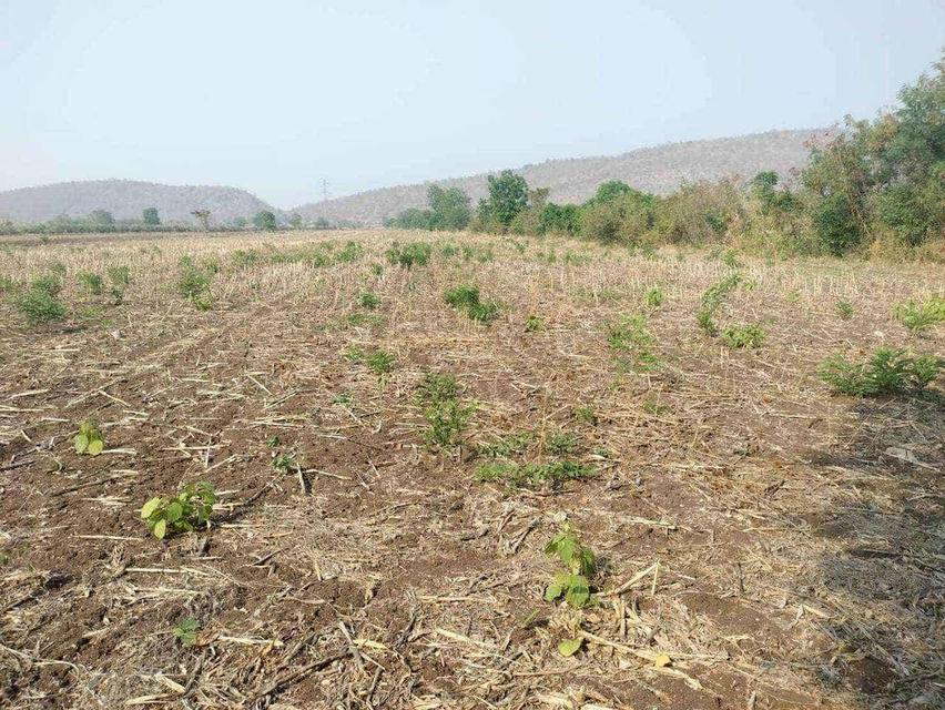 ขายที่ดินสวย ทำเลทอง ติด 4 เลน ตากฟ้า นครสวรรค์ 6