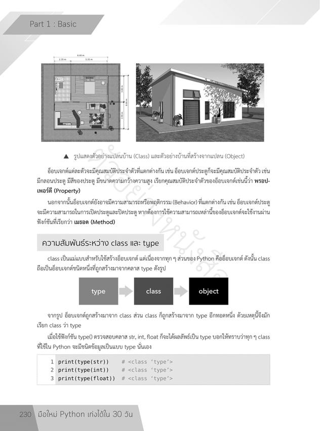 หนังสือ มือใหม่ Python เก่งได้ใน 30 วัน