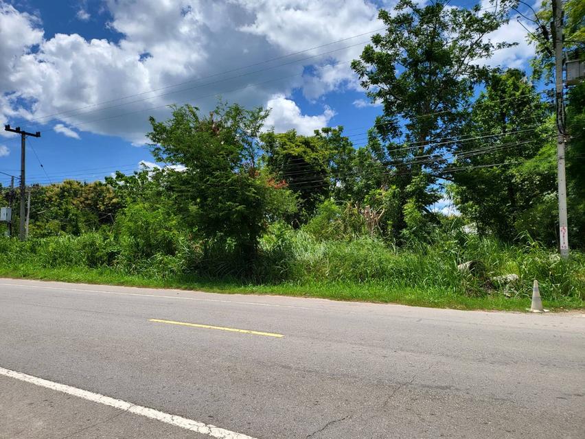 ขายที่ดินเปล่า สวนผึ้ง  เนื้อที่ 1 ไร่ - 3 งาน - 53 ตารางวา 6