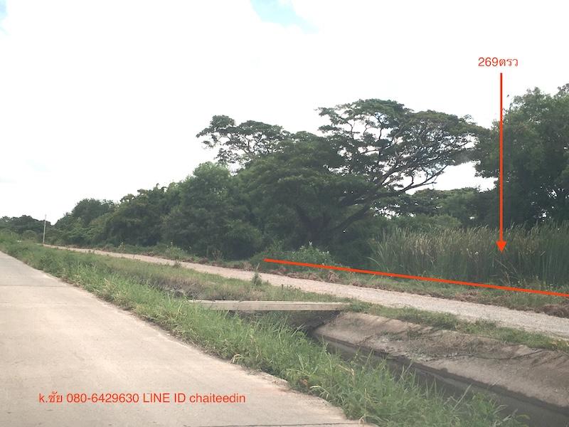 ขายที่ดิน 269ตรว.ติดถนนเลียบคลองชลประทาน ตำบลหมื่นไวย เมืองโคราช ใกล้ร้านกะลาก้นครัว ห่างจากถนนบายพาส 204 ประมาณ 1กม.ที่ดินเหมาะพัฒนาเป็นบ้านสวน 2