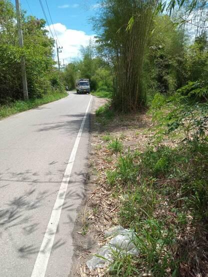 ขายที่ดินที่ดิน สันป่าตอง ใกล้หนองเสรียม อ.สันป่าตอง จ.เชียงใหม่ ติดถนนลาดยาง 2 ด้าน 1