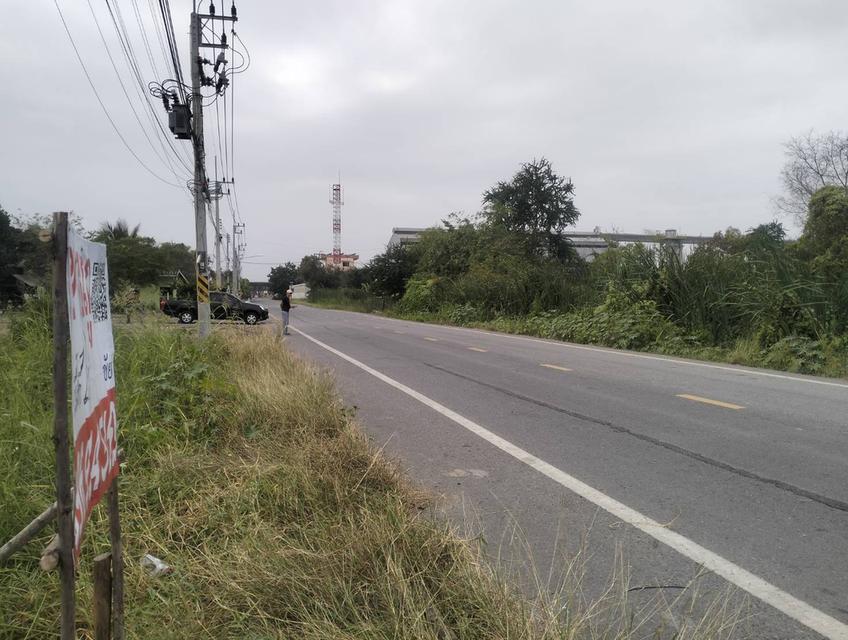 ขายที่ดิน1ไร่ถนนเชียงรากน้อย อ.บางปะอิน จ.พระนครศรีอยุธยา 2