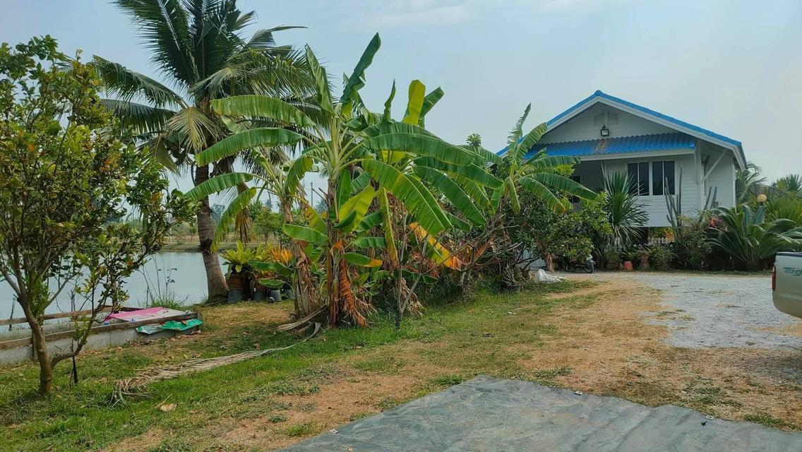 บ้านพร้อมที่ดินแปลงใหญ่ 10