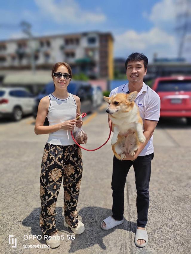 🐶 #บริการรับส่งสุนัขและแมวเท่านั้นทั่วไทยมีรถทุกวัน 📲 0867441143 นเรศ ID LINE : 0867441143 รับลงเครื่องส่งอยู่ต่างจังหวัดเดินทางด้วยรถไฟฟ้าแยกบล็อค รูปที่ 7