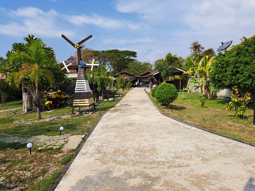 ขายบ้านสวนบนเนื้อที่1ไร่1งาน39ตรว. 1