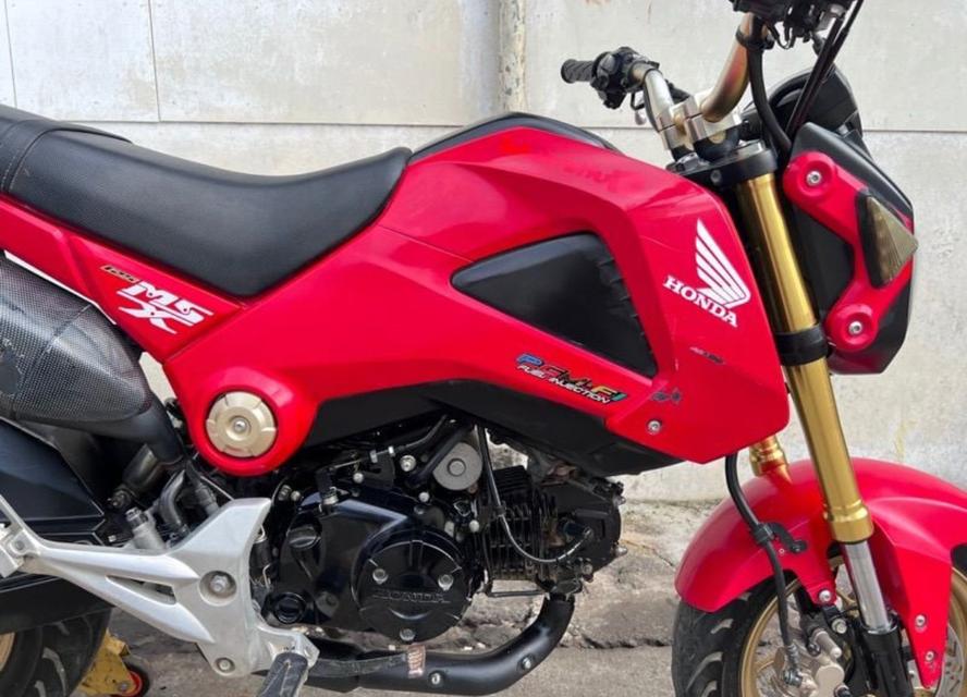 รถมือสอง Honda MSX125 ไฟกลม 3