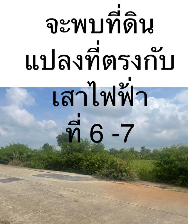 ขายที่ดินเปล่า 1 ไร่ คลอง11 โทร0814972940 7