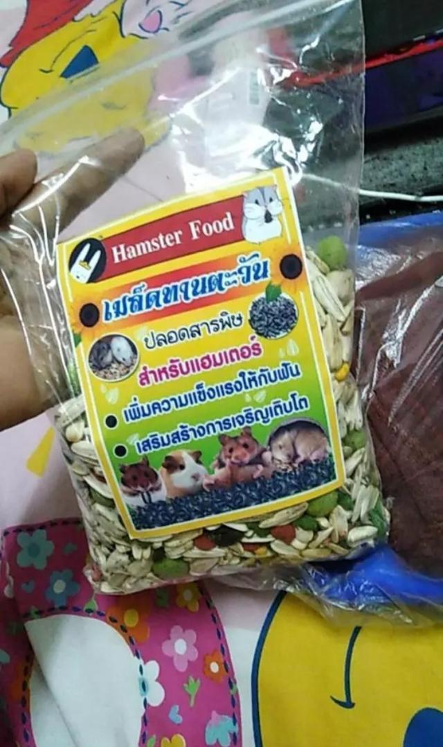 แฮมเตอร์ food เมล็ดทานตะวัน