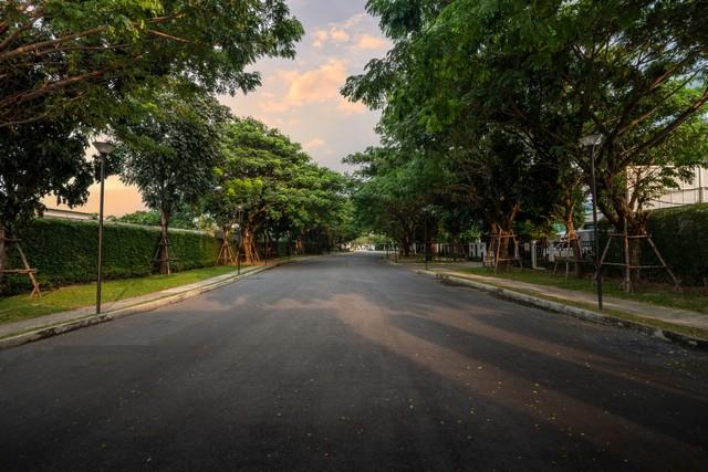 ขายบ้านเดี่ยวหรู 2 ชั้น ชีวาวัลย์ ปิ่นเกล้า–สาทร 📍 ทำเลทอง ถนนบรมราชชนนี – พุทธมณฑลสาย 1 ใกล้ Central ปิ่นเกล้า
