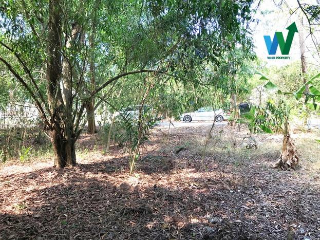 ขายที่ดินเปล่า 63 ตร.ว. น้ำไฟเข้าถึงแล้ว กว้าง 14 ม. ลึก 18 ม. รูปสี่เหลี่ยมผืนผ้า ใกล้โรงเรียนชุมชนบึงบาหนองเสือ 7