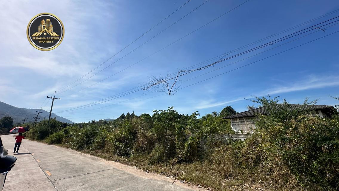 ขายที่ดินบ้านบึง พร้อมโกดัง ผังสีเหลือง หนองน้ำเขียว คลองกิ่ว บ้านบึง ชลบุรี  2