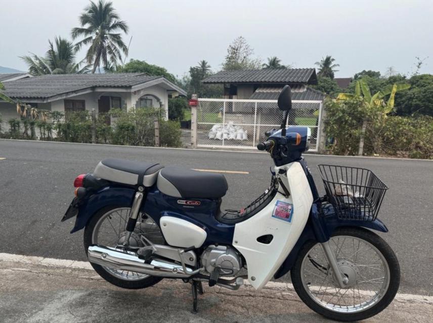 ขายต่อ Honda Dream Supercub สวยๆ 2