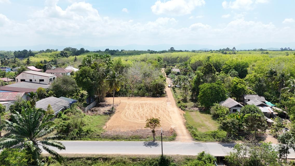 ที่ดินเปล่า 200 ตารางวา 1