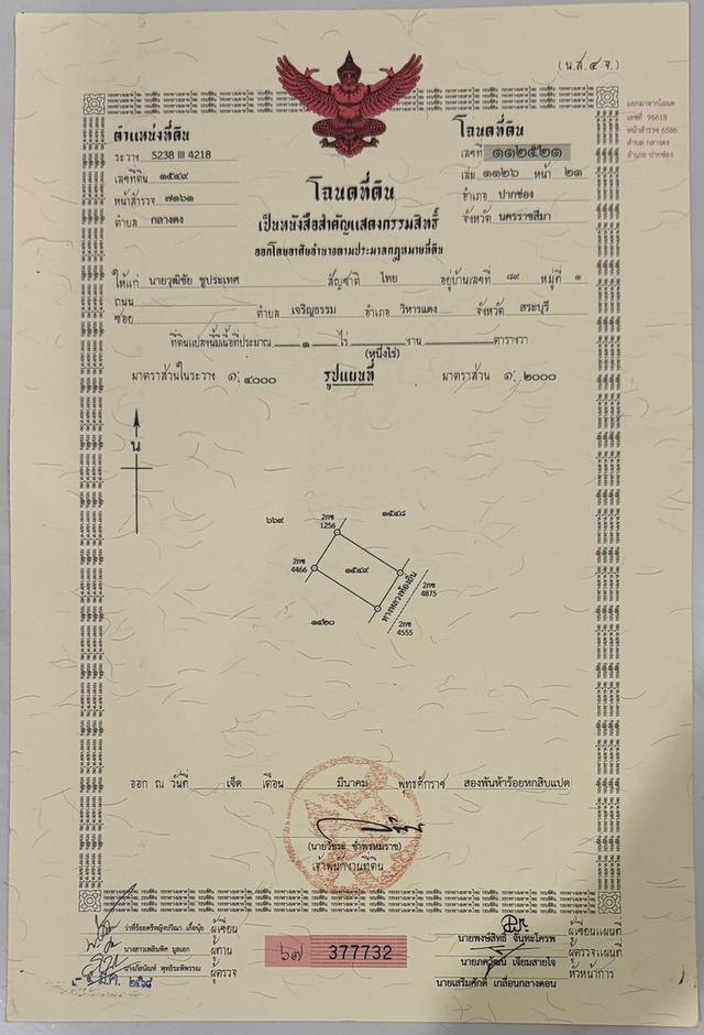 ขออนุญาติฝากขายที่ดินกลางดง ปากช่องแปลงงาม(โฉนด) เนื้อที่ 3 ไร่ ติดเขาใหญ่ ใกล้ถนนมิตรภาพ 9