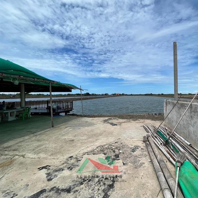 ขายที่ดินพร้อมบ่อน้ำและสิ่งปลูกสร้าง ขนาด23-0-62ไร่ ซ.กรมประมง โคกขาม มหาชัย 5