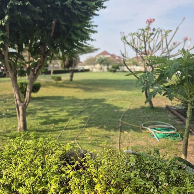 Chokchai village 10 7