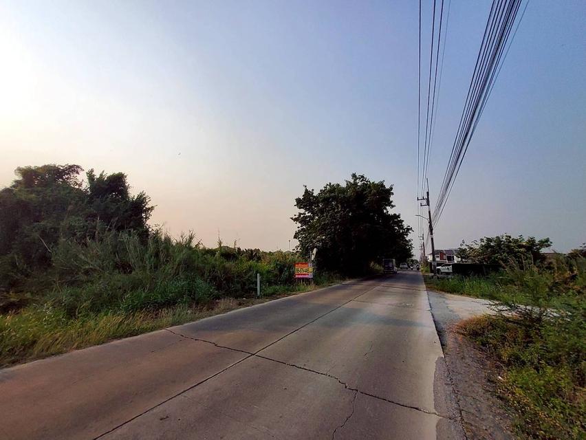 ขายด่วนที่ดิน 267 ตรว ติดถนนคอนกรีตสาธารณะ ซ.ดาวทอง 2 ศาลายา พุทธมณฑล นครปฐม 1