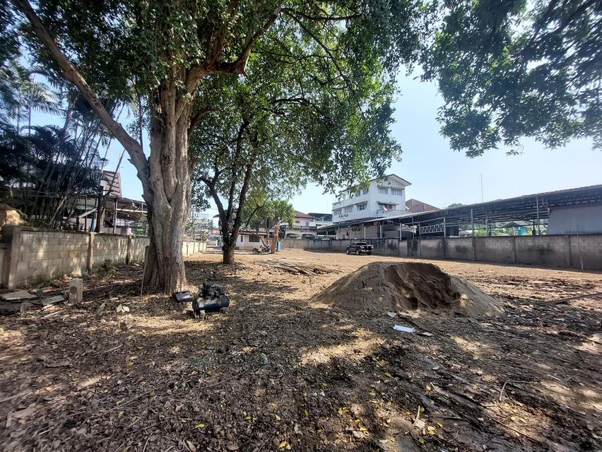 ขายที่ดินติดน้ำปิงในเมือง  200  ตรว  70 ล้าน 2